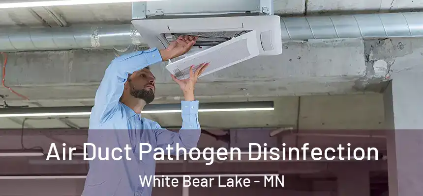 Air Duct Pathogen Disinfection White Bear Lake - MN