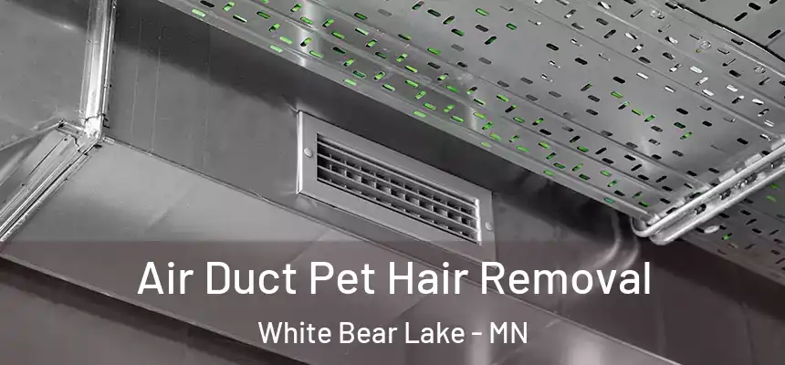  Air Duct Pet Hair Removal White Bear Lake - MN