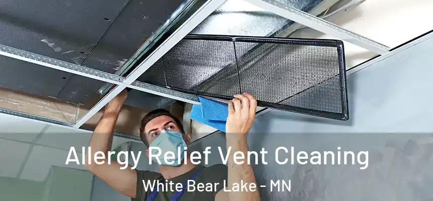 Allergy Relief Vent Cleaning White Bear Lake - MN