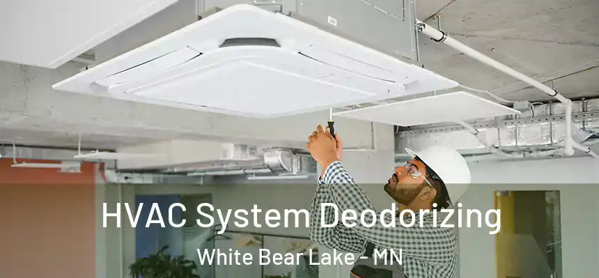  HVAC System Deodorizing White Bear Lake - MN