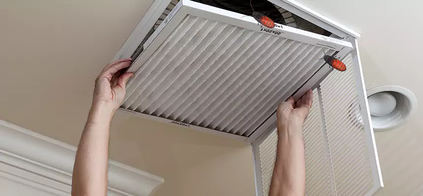 Preventive Cockroach-Proofing for Ducts in White Bear Lake