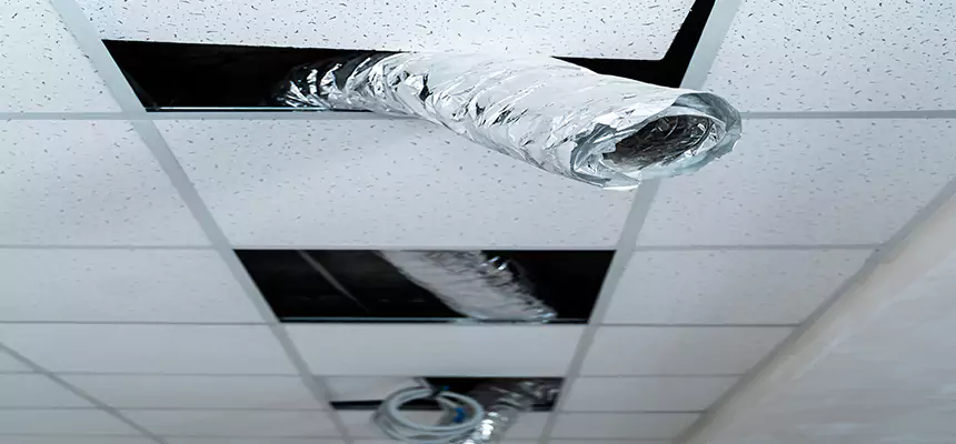 Our Air Duct Pet Hair Removal Services in White Bear Lake, MN