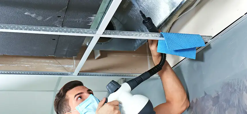 Our Air Duct Rodent Removal Services in White Bear Lake, MN