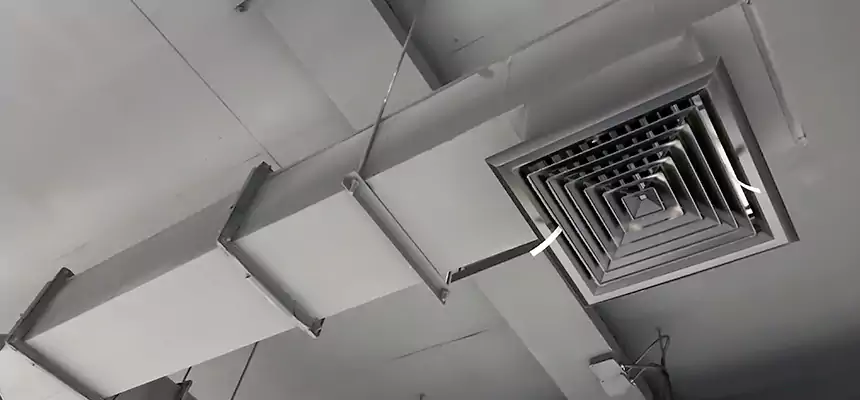 Our Rodent Droppings In Vents Services in White Bear Lake, MN