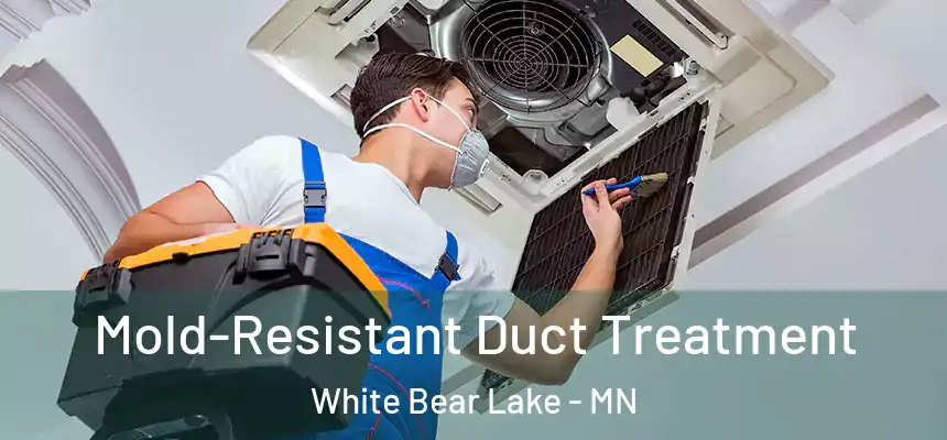  Mold-Resistant Duct Treatment White Bear Lake - MN