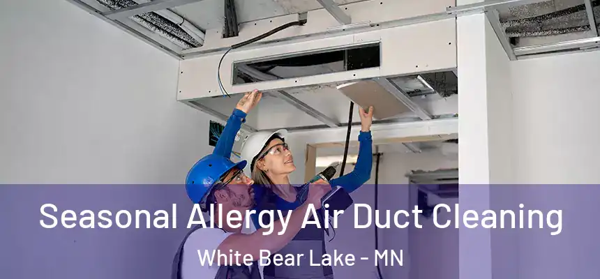 Seasonal Allergy Air Duct Cleaning White Bear Lake - MN