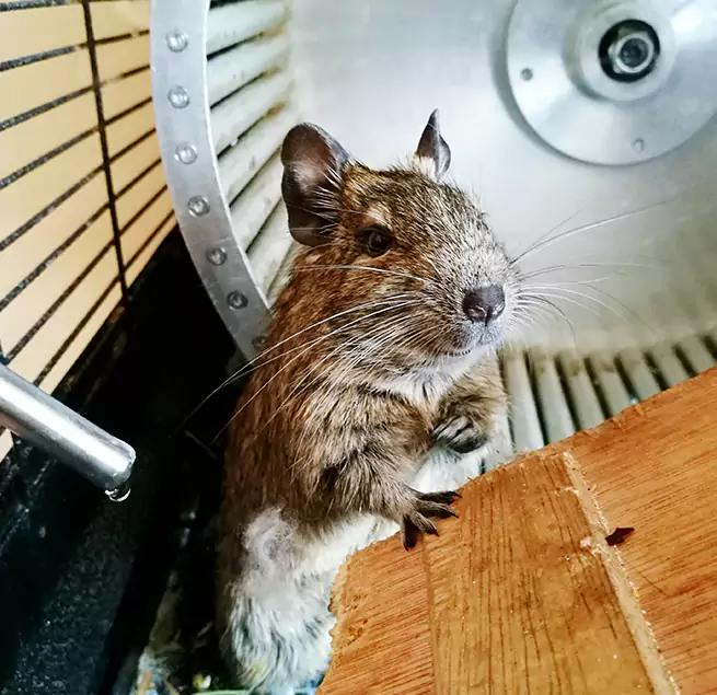 Why Homeowners & Businesses Trust Us White Bear Lake, MN