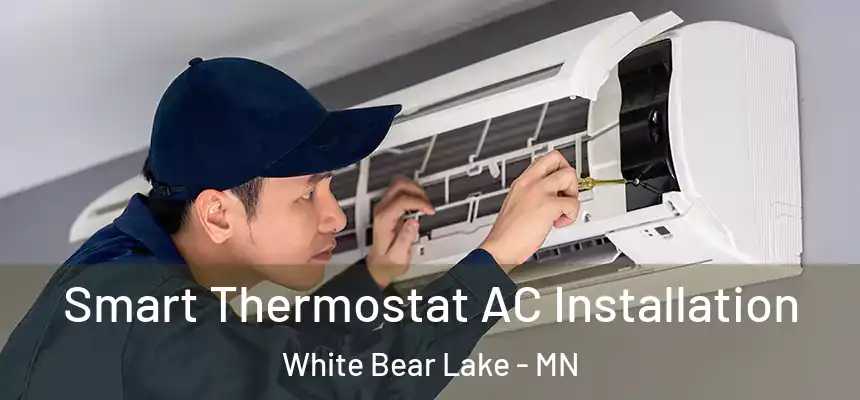  Smart Thermostat AC Installation White Bear Lake - MN